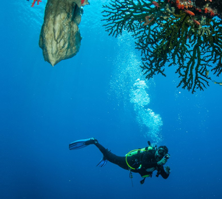 Snorkling