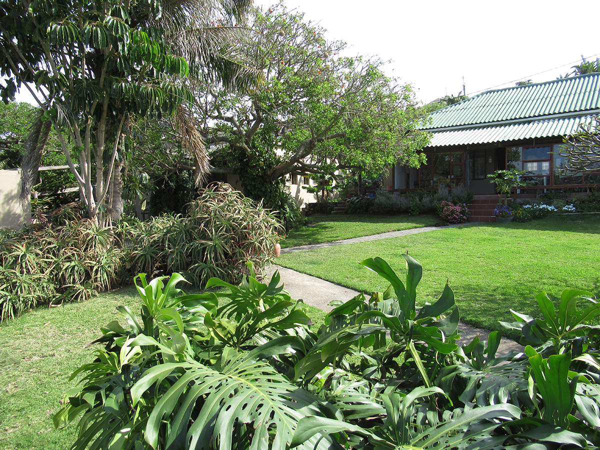 Relaxed outdoor guest space at Geckos