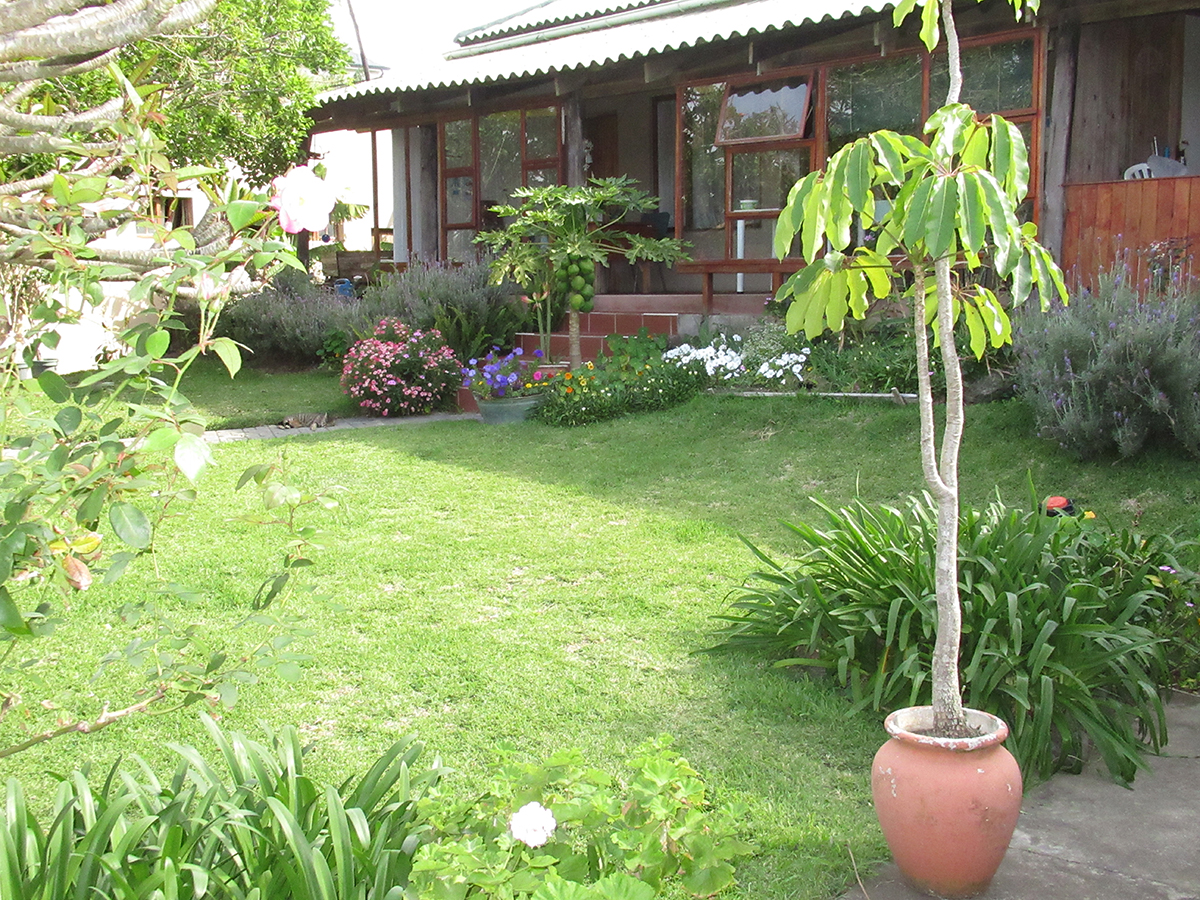 Subtropical garden view at Geckos