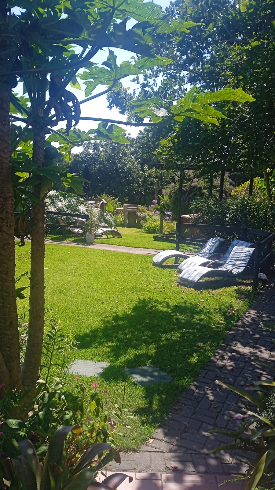 Geckos Bed and Breakfast property